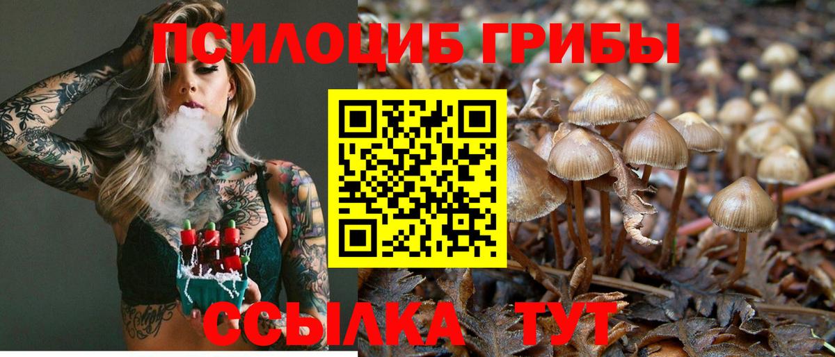 Галлюциногенные грибы GOLDEN TEACHER Хабаровск
