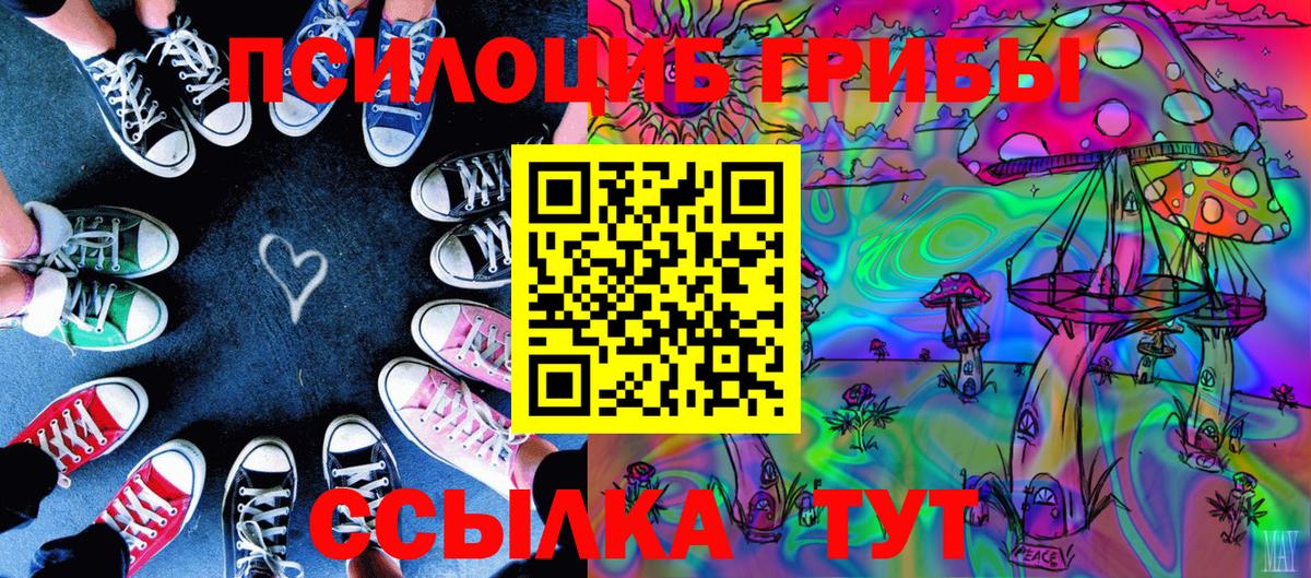 Хабаровск  Псилоцибиновые грибы ЛСД  Вход с VPN 